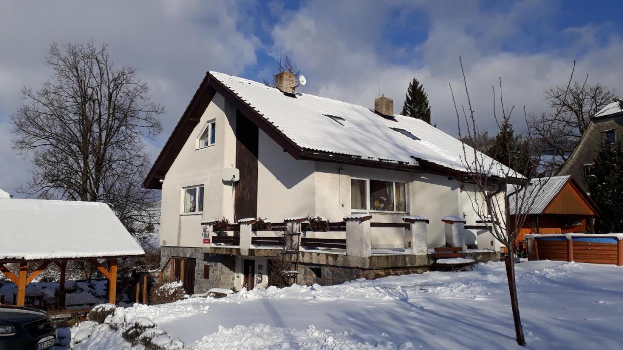 Penzion U Vichu Červená Voda Eksteriør billede